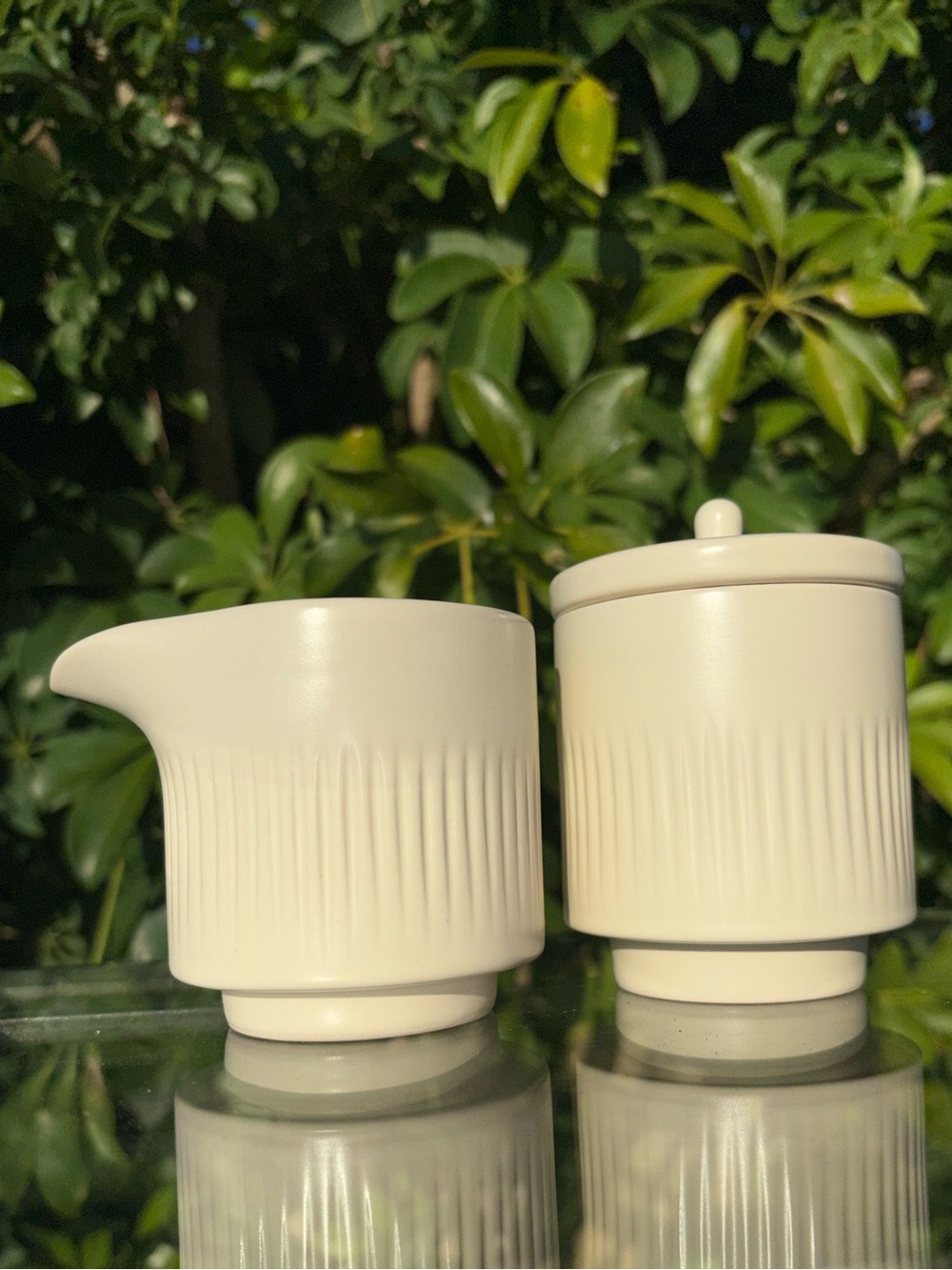 Cream Ceramic Sugar and Creamer Set
